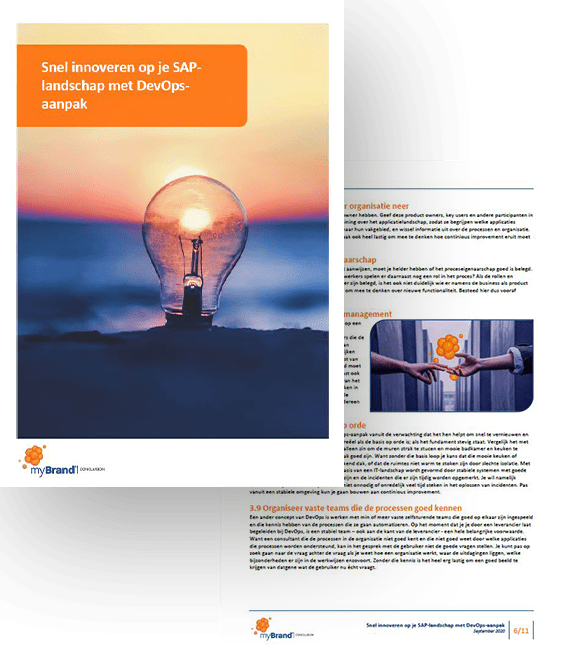 DevOps whitepaper download SAP ERP